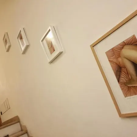 Delle Drapperie بولونيا